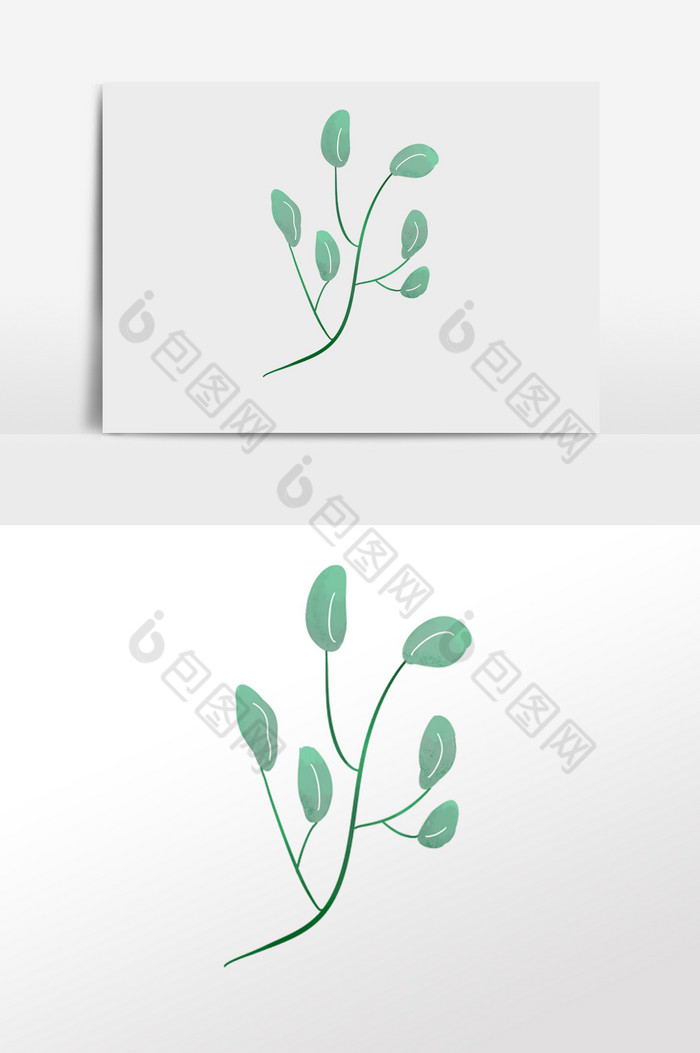 植物花朵叶子插画树叶插画图片