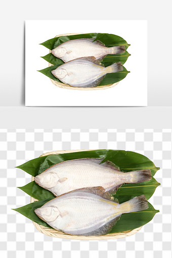 新鲜进口日本鰈鱼素材图片