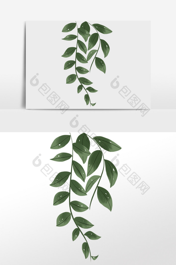 现代植物装饰图片