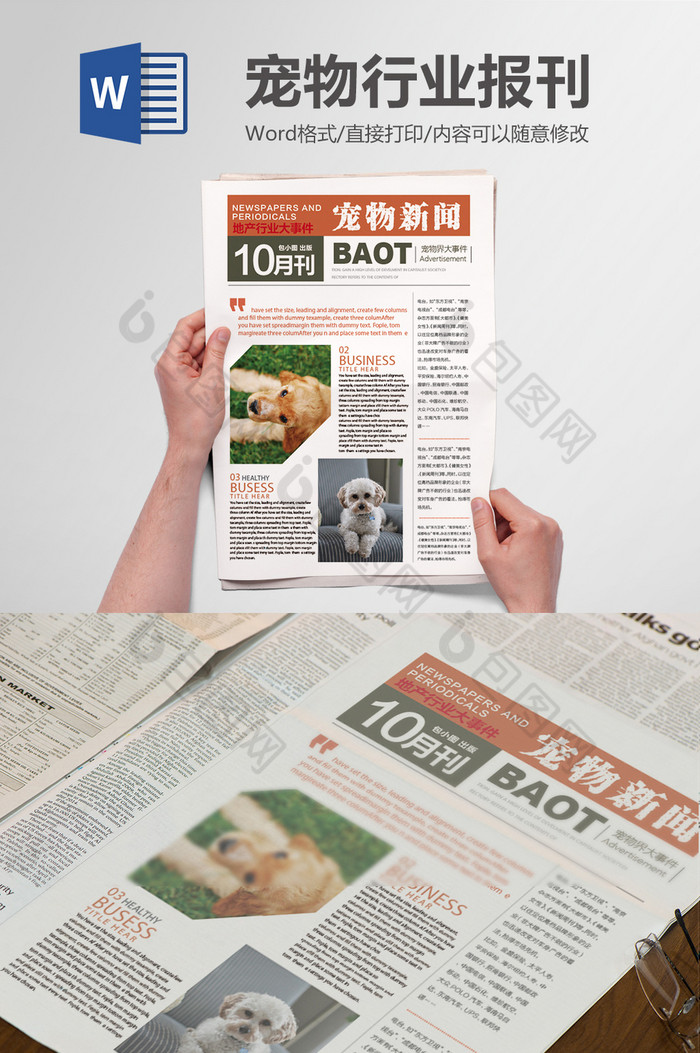 宠物洗澡 行业发展  word电子报刊模板 宠物广告 报刊模板 新闻信息
