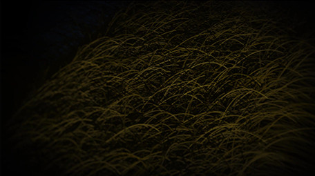 暗黑万圣节片头AE模板