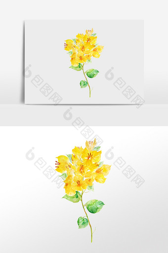 手绘水彩植物黄色花开插画元素图片