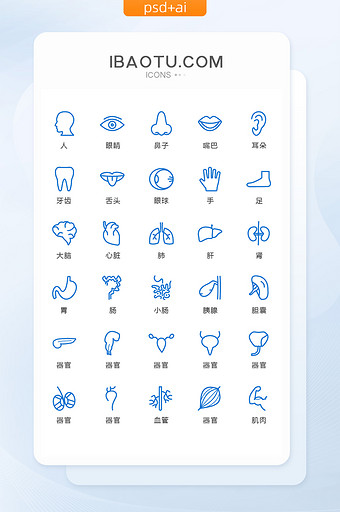 简约线性人体器官图标矢量UI素材icon图片