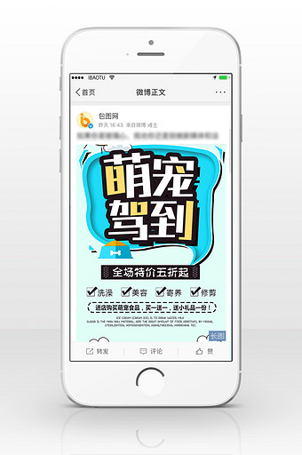萌宠驾到促销信息长图图片