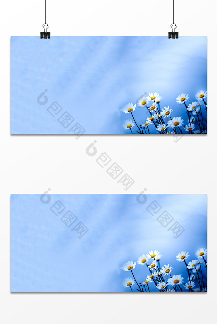 花朵朴素图片图片