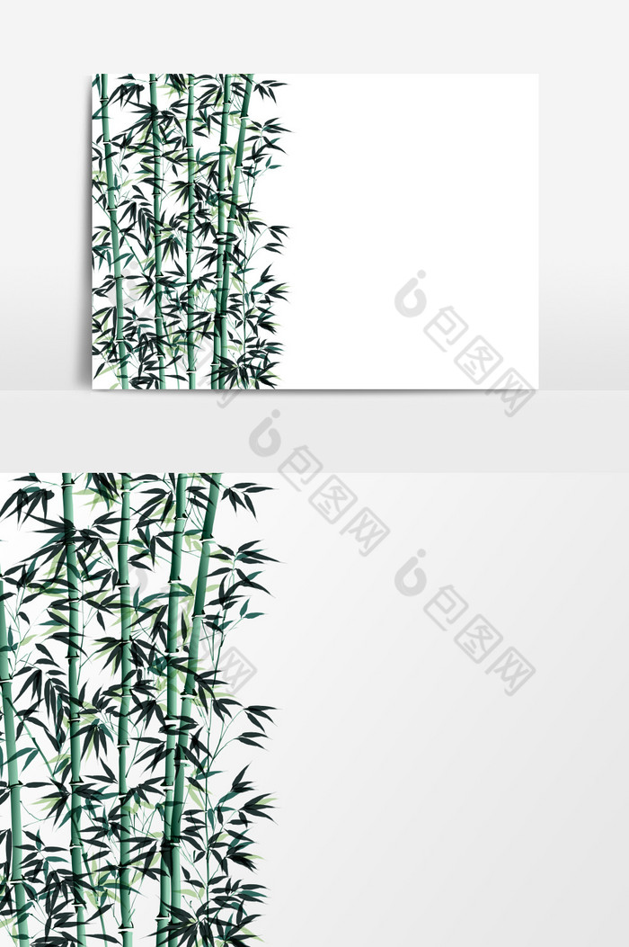 竹子图片图片
