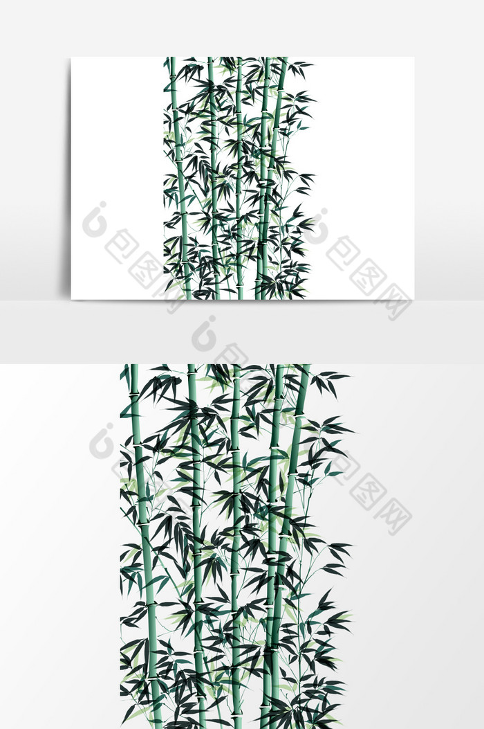 竹子图片图片