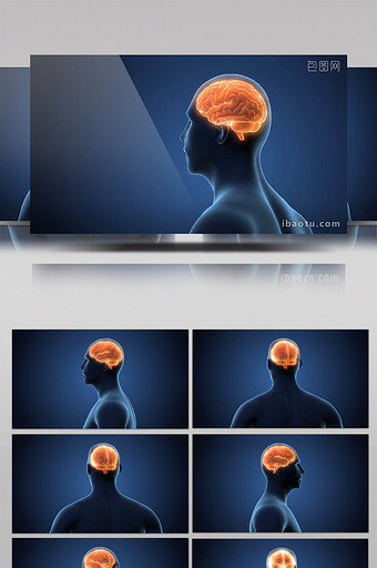 带alpha黑白透明三维头部大脑视频素材图片