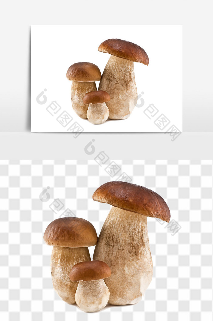 健康食品菌类蘑菇图片图片