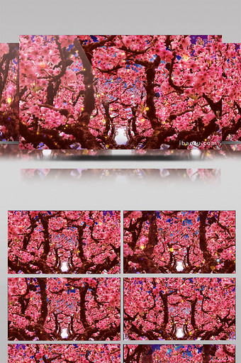 桃花树动态背景LED大屏视频图片