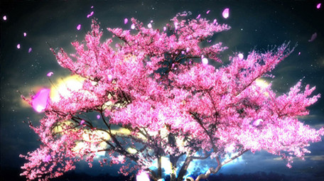 唯美夜色中的流光樱花树动态背景视频