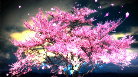 唯美夜色中的流光樱花树动态背景视频