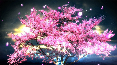 唯美夜色中的流光樱花树动态背景视频