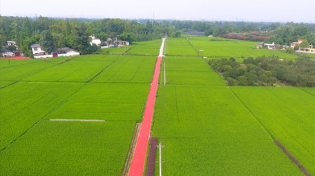 农业发展农田航拍