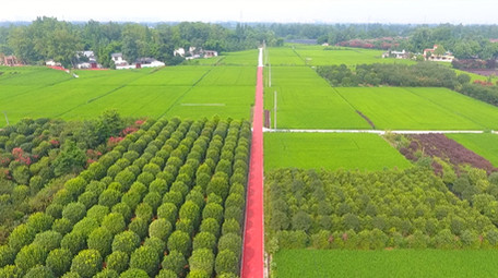 农业发展农田航拍