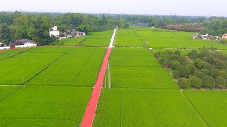 农业发展农田航拍