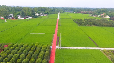 农业发展农田航拍