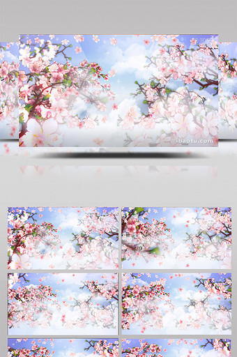 唯美桃花盛开动态舞台背景视频LED视频图片