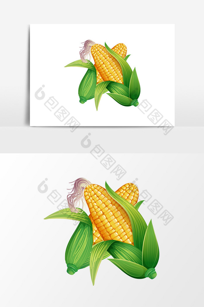 玉米图片图片