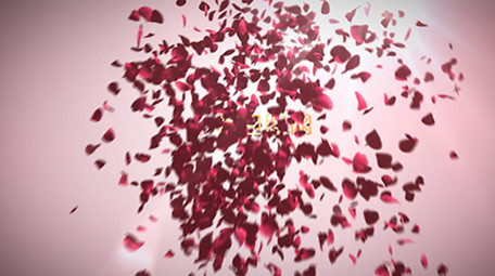 从空中洒落的浪漫玫瑰花瓣标志揭示AE模板