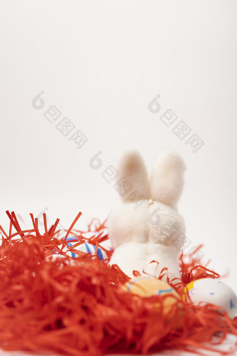 复活节兔子背影白色图片