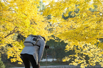 秋天城市公园中正在拍照的游客