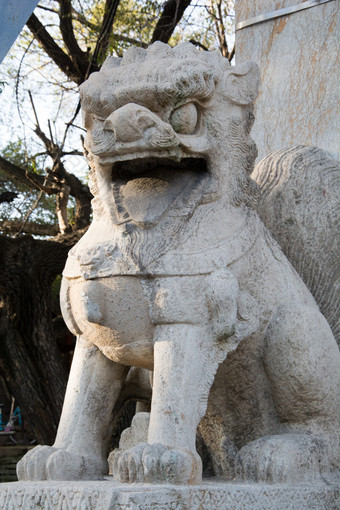 公园中的石刻狮子雕像