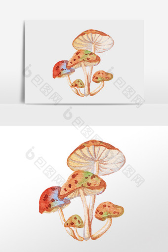 彩绘蘑菇植物素材图片