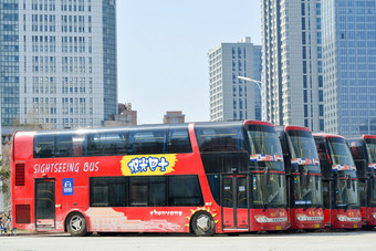 城市中旅游观光巴士