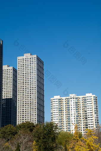 城市高层建筑群