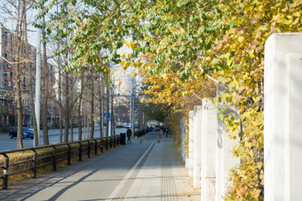 秋天城市街景