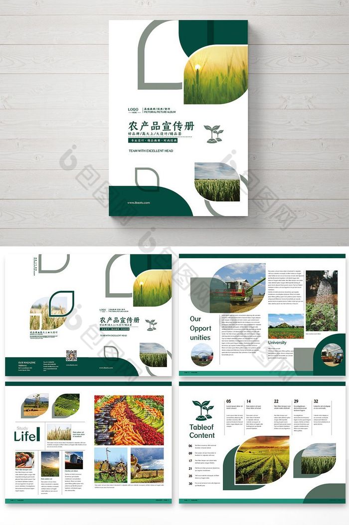农产品画册图片图片