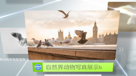 大气清新干净简洁商务包装图片展示AE模版