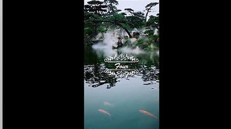 竖屏抖音爆款网红倒计时10秒<strong>图文</strong>展示模板