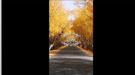 竖屏抖音爆款网红倒计时10秒<strong>图文</strong>展示模板