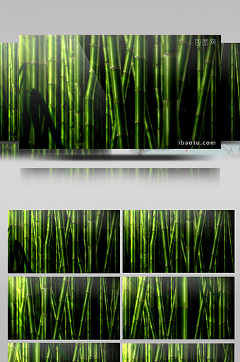 青葱的密集竹林循环视频素材LED背景视频图片