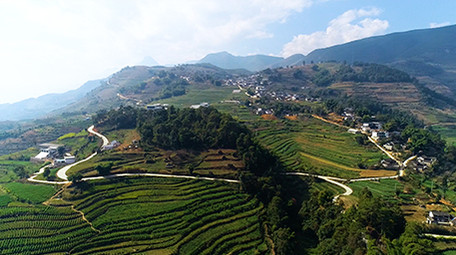 航拍乡村梯田蔬菜种植高山风光高清视频素材