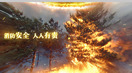 消防安全宣传<strong>图文</strong>展示ae模板