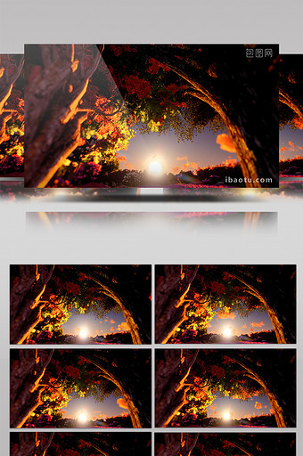 唯美夕阳太阳树木景色背景led大屏合成图片