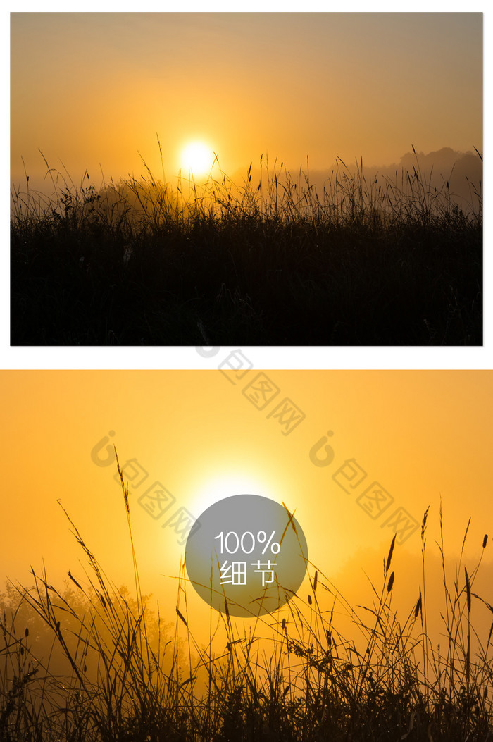 自然风景太阳升起摄影图片