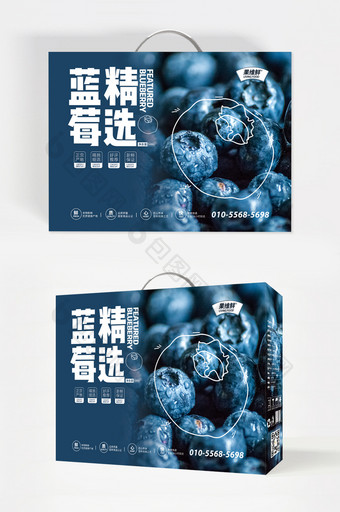 蓝色大气图形精选蓝莓水果礼盒包装设计图片