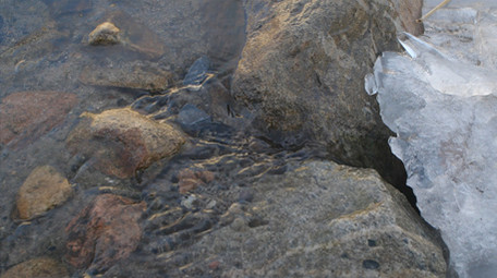 冬季小河流水<strong>乡村</strong>结冰200帧升格