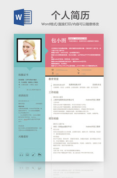 简约风软件开发工程师简历