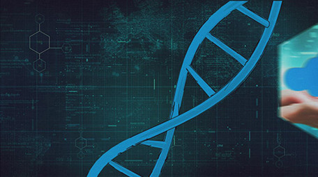 生物化学医学研究图文展示AE模板