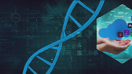 生物化学医学研究图文展示AE模板