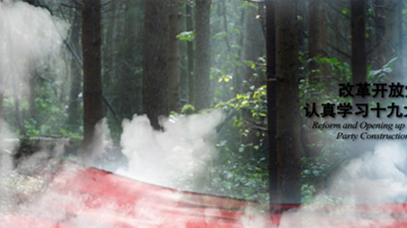 改革开放党政党建图文包装1