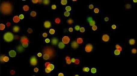 唯美五彩极品抒情粒子背景视频