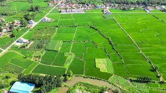 绿色农田农业种植基地