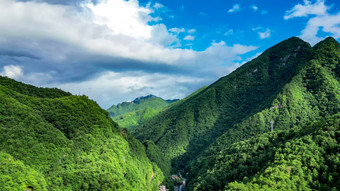 祖国大好<strong>河山</strong>湖北神农架绿色植物森林