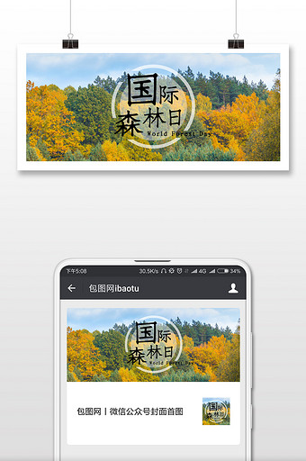黄绿色实拍风景森林树木国际森林日微信配图图片